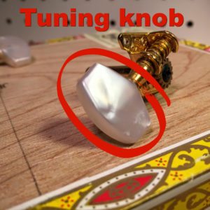 tuning knob on an open gear tuner